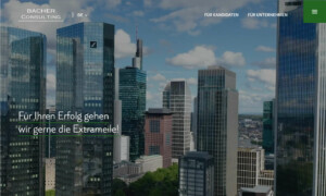 Screenshot Bacher Consulting Webseite - WordPress Webdesign