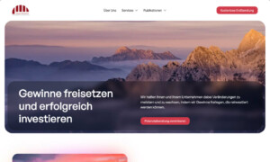 Screenshot Schmelzer Group Webseite - WordPress Webdesign